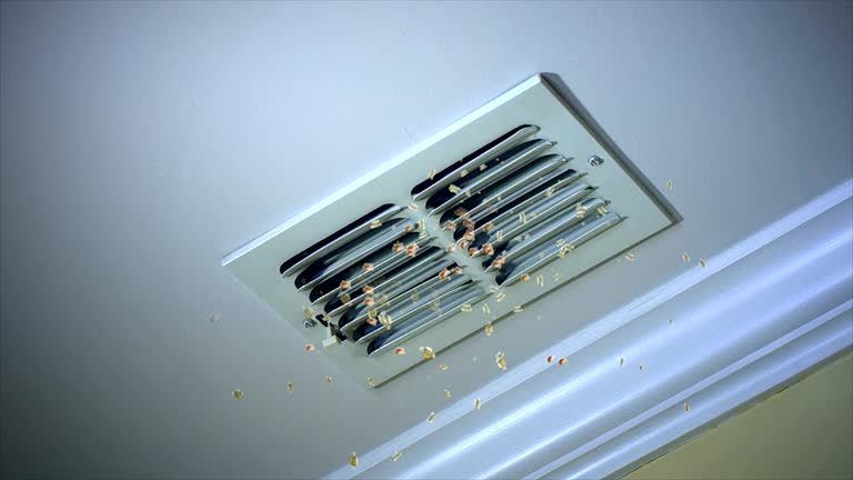 Best Air Duct Cleaning Company Near Me  in Mason, TN